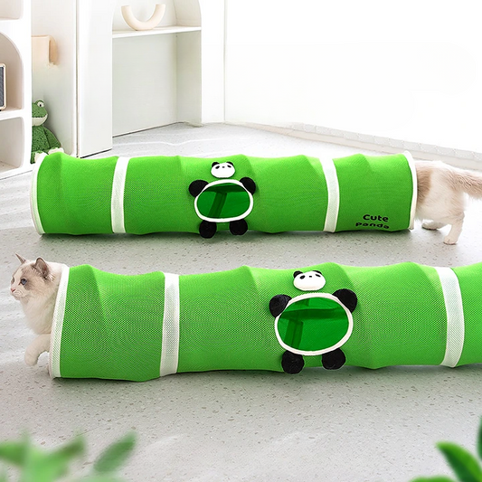 Why Your Indoor Cat Needs a Cat Tunnel & Interactive Toys: A Guide to Happy, Healthy Felines