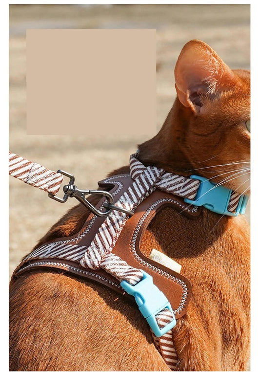 How to Make a Dog Harness from a Leash: I-Beam Leather Dog Leashes