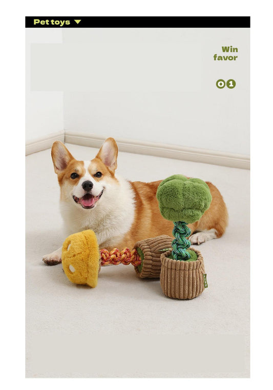 Why Every Powerful Chewer Needs a Dog Knot Toy？