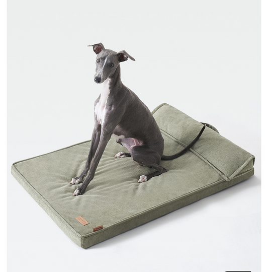 Spine-protecting dog sofa beds - KMPET