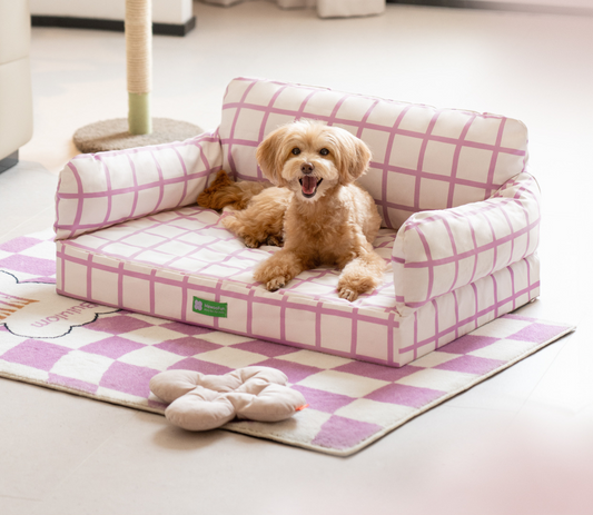 Striped Cat Sofa & Dog Sofa